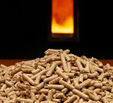 vente sciure de bois chauffage Fougères-4