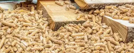 vente sciure de bois chauffage Fougères-5