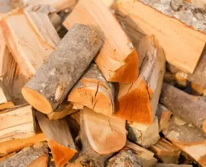 vente sciure de bois chauffage Janzé-3