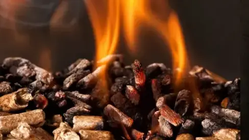 vente sciure de bois chauffage Janzé-5