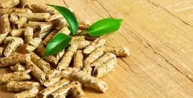 vente sciure de bois chauffage Rennes-1