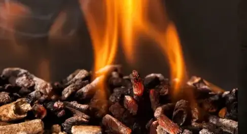 vente sciure de bois chauffage Rennes-3