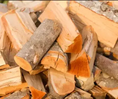 vente sciure de bois chauffage Saint-Malo-3