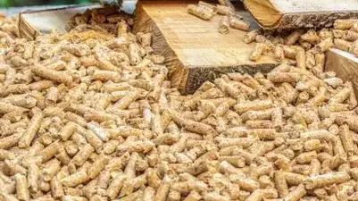 vente sciure de bois chauffage Saint-Malo-4